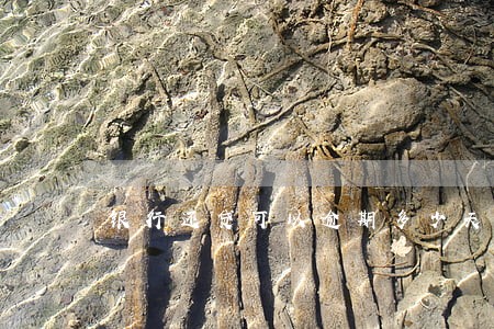 银行还贷可以逾期多少天 银行还贷可以逾期多少天