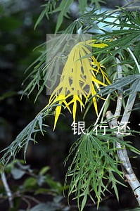 银行还贷逾期9天怎么办 银行还贷逾期9天怎么办