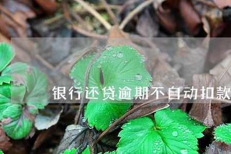 银行还贷逾期不自动扣款 银行还贷逾期不自动扣款