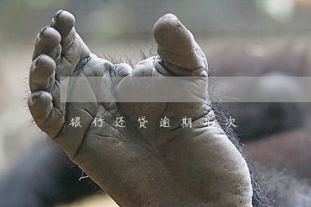 银行还贷逾期几次 银行还贷逾期几次
