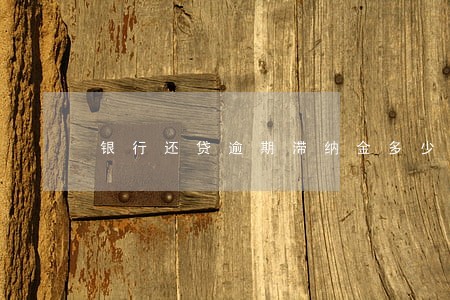 银行还贷逾期滞纳金多少