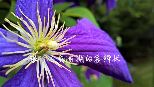 银行还贷逾期的答辩状 银行还贷逾期的答辩状