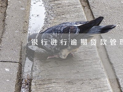 银行进行逾期贷款管理的时候 银行进行逾期贷款管理的时候