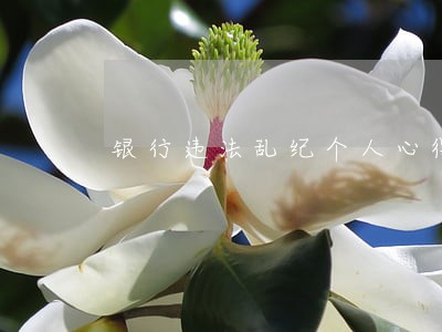 银行违法乱纪个人心得体会 银行违法乱纪个人心得体会