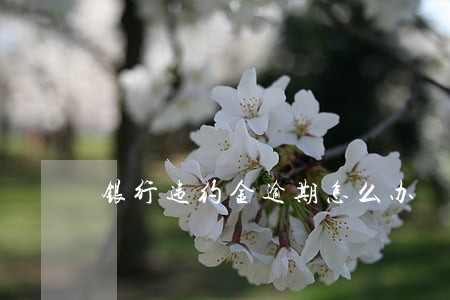 银行违约金逾期怎么办 银行违约金逾期怎么办