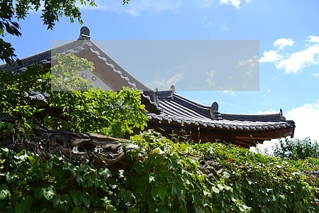 银行违逾期约金 银行违逾期约金