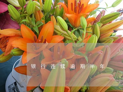 银行连续逾期半年 银行连续逾期半年