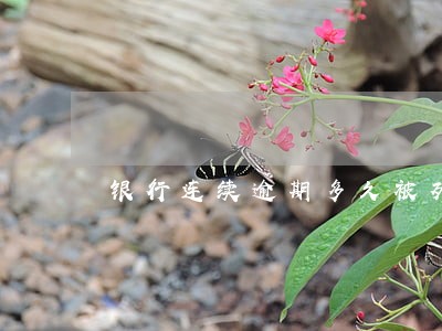 银行连续逾期多久被列入黑户