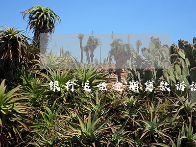 银行追偿逾期贷款诉讼时效 银行追偿逾期贷款诉讼时效