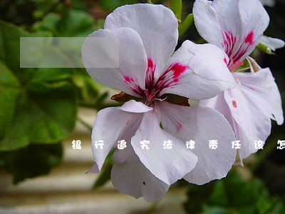 银行追究法律责任该怎么办 银行追究法律责任该怎么办