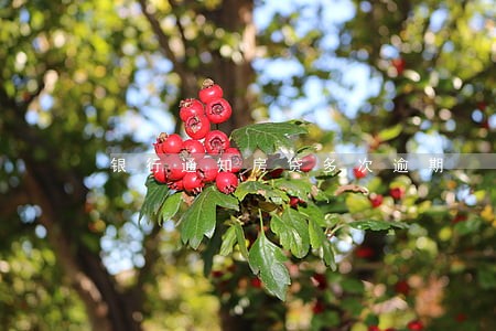 银行通知房贷多次逾期 银行通知房贷多次逾期