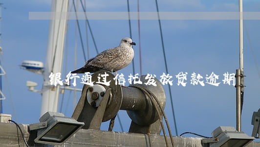 银行通过信托发放贷款逾期