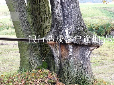 银行造成客户逾期情况说明怎么写 银行造成客户逾期情况说明怎么写
