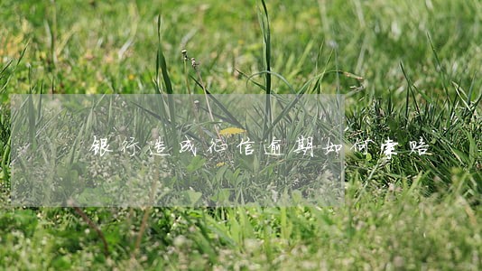 银行造成征信逾期如何索赔