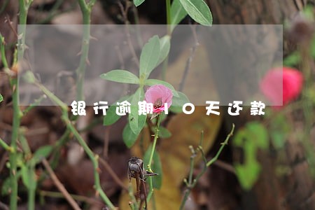 银行逾期10天还款