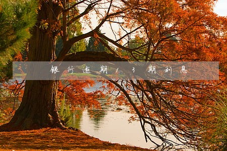 银行逾期13期利息 银行逾期13期利息