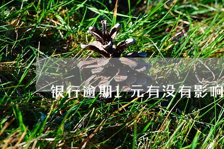 银行逾期1元有没有影响吗 银行逾期1元有没有影响吗