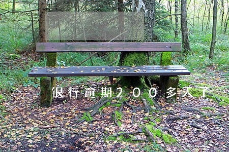银行逾期200多天了 银行逾期200多天了