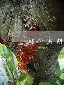 银行逾期25000无力偿还 银行逾期25000无力偿还