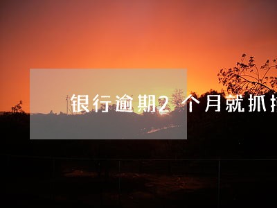 银行逾期2个月就抓捕