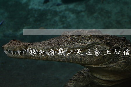 银行逾期2天还款上征信吗 银行逾期2天还款上征信吗