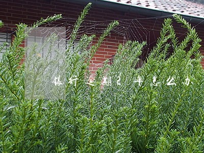 银行逾期2年怎么办 银行逾期2年怎么办