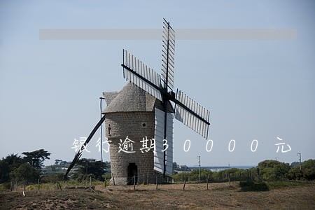 银行逾期30000元