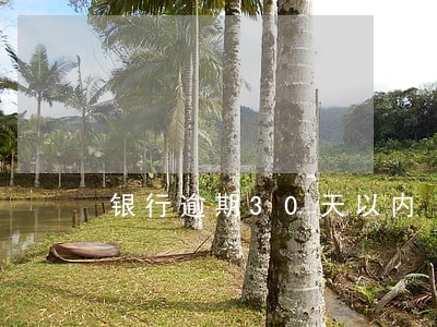 银行逾期30天以内 银行逾期30天以内