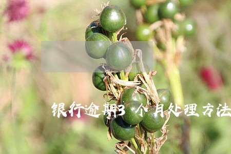 银行逾期3个月处理方法 银行逾期3个月处理方法