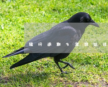 银行逾期3年可以谈还款吗