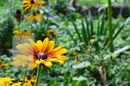 银行逾期3月滞纳金计算 银行逾期3月滞纳金计算