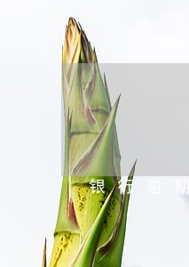银行逾期4万多久会打电话给家人 银行逾期4万多久会打电话给家人