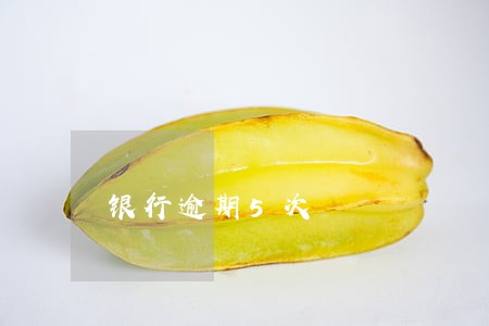 银行逾期5次 银行逾期5次