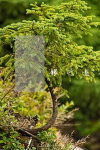 银行逾期6000还16000 银行逾期6000还16000