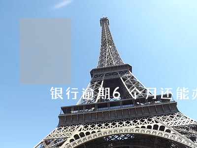 银行逾期6个月还能办贷款吗 银行逾期6个月还能办贷款吗