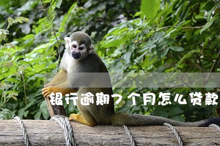 银行逾期7个月怎么贷款 银行逾期7个月怎么贷款