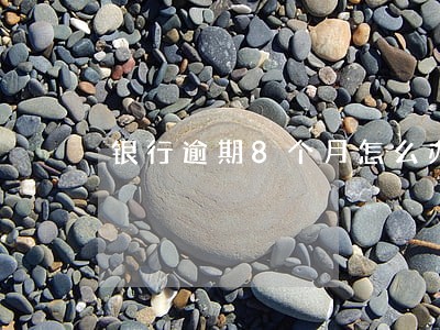 银行逾期8个月怎么办 银行逾期8个月怎么办