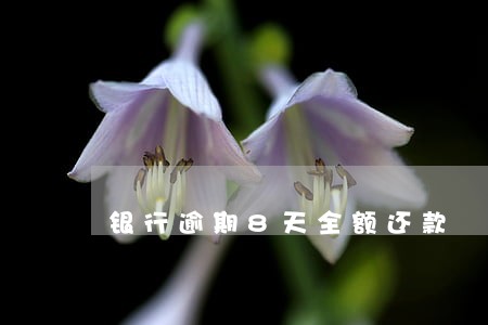 银行逾期8天全额还款 银行逾期8天全额还款