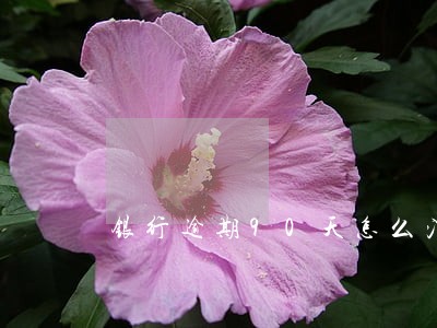 银行逾期90天怎么消除 银行逾期90天怎么消除
