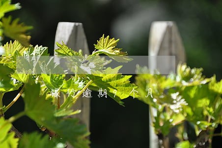 银行逾期9个月 银行逾期9个月
