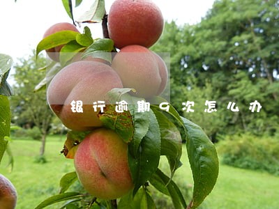 银行逾期9次怎么办 银行逾期9次怎么办