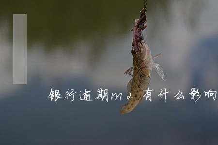 银行逾期m2有什么影响 银行逾期m2有什么影响