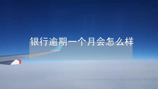 银行逾期一个月会怎么样 银行逾期一个月会怎么样