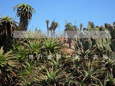 银行逾期一到公安局