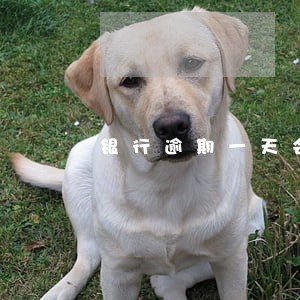 银行逾期一天会有什么影响 银行逾期一天会有什么影响