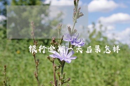 银行逾期一天后果怎样 银行逾期一天后果怎样