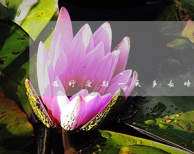 银行逾期一天多长时间能消除 银行逾期一天多长时间能消除