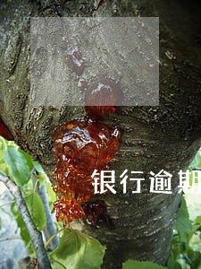 银行逾期一天怎么算的 银行逾期一天怎么算的