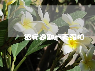 银行逾期一天没扣 银行逾期一天没扣