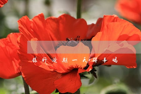 银行逾期一天碍事吗 银行逾期一天碍事吗
